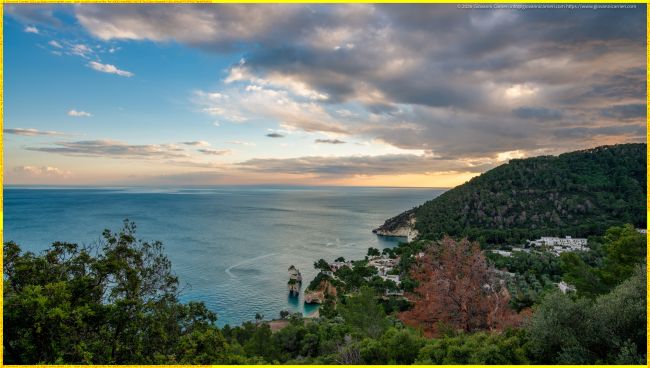 I Faraglioni di Baia dei Mergoli osservati dalla Strada Provinciale 53 Mattinata-Vieste