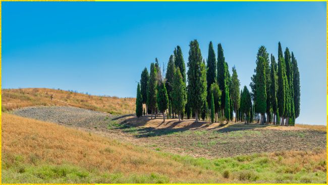 I Cipressini di San Quirico d'Orcia: un simbolo toscano