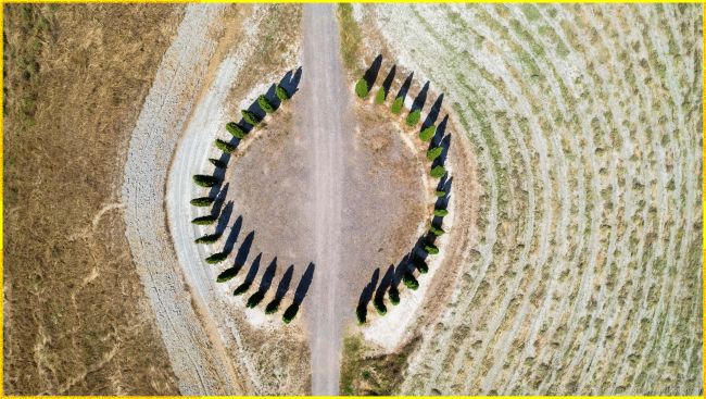 I Cipressini di San Quirico d'Orcia: Icona della Val d'Orcia