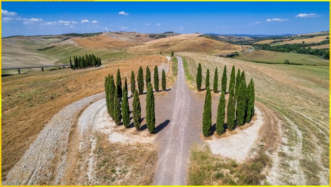 I due gruppi di Cipressi di San Quirico d'Orcia